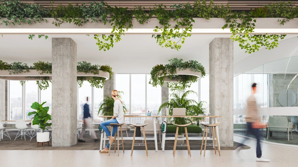 bright modern open workspace Australian landscape clarity freedom